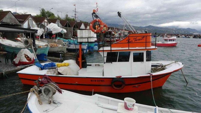 Kıyı Balıkçıların Umudu Batı Karadeniz Taraflarından Gelecek Olan Palamutta