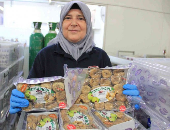 Aydın’ın Milli Meyvesi İncir, Tezgahlarda Yerini Aldı