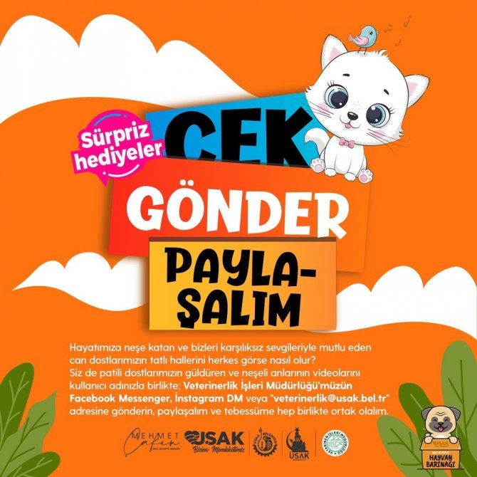 Uşak Belediyesi’nden Can Dostlar İçin ‘Çek - Gönder’ Kampanyası