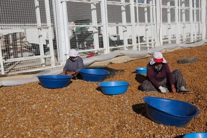 Ulubey’de Devlet Desteğiyle Yapılan Turistik Tesis Hizmete Açıldı