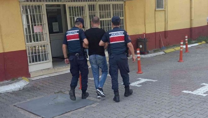 Aydın’da Aranan 3 Şahıs Jandarmaya Takıldı