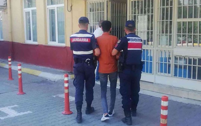 Aydın’da Aranan 3 Şahıs Jandarmaya Takıldı