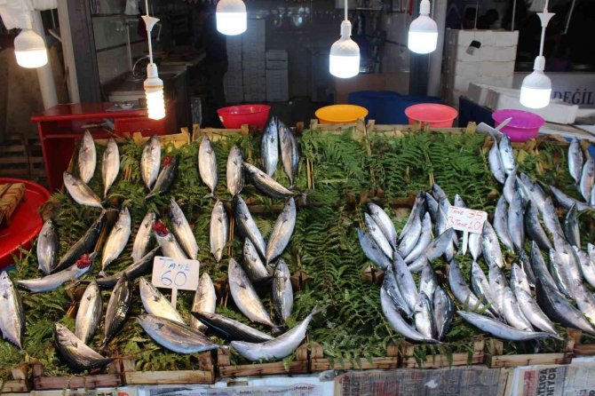 Bandırma’da Olumsuz Hava Şartları Balık Fiyatlarını Etkiledi