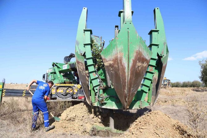 Bursa’da Genişleyen Yollarda Kalan Ağaçlar Taşınıyor