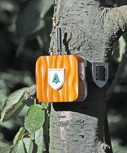 Enerjisa Enerji’ye 3 Uluslararası Ödül