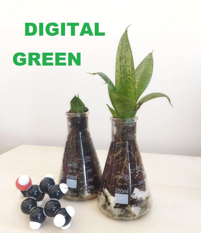 Çevre Sorunlarına Çözüm Üretecek Proje Hibe Desteği Almaya Hak Kazandı