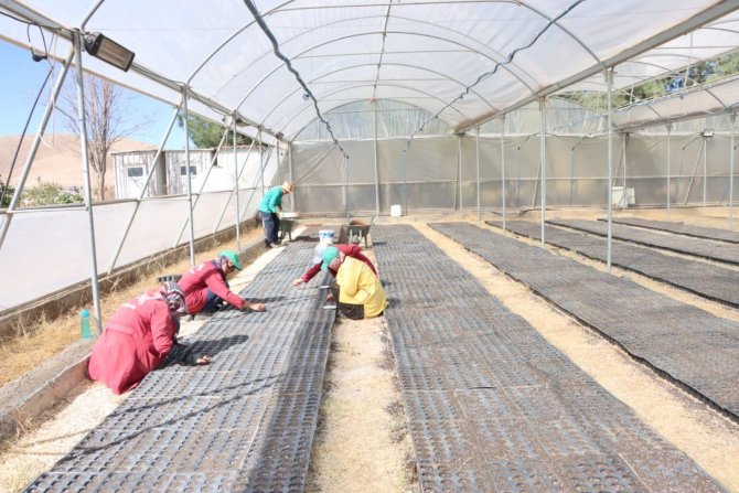 Kızıltepe’de Kış Mevsimi İçin 50 Bin Çiçek Tohumu Toprakla Buluştu