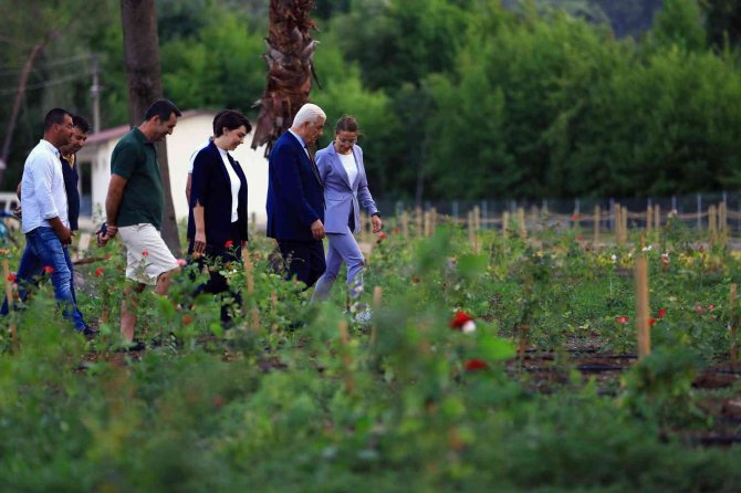 Başkan Gürün Tıbbi Bitkiler Koleksiyon Bahçesi’ni İnceledi