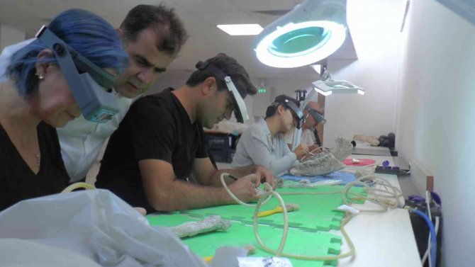 Yol Yapımı Sırasında Tesadüfen Ortaya Çıktı, 7 Buçuk Milyon Yıllık Fosiller Bulundu