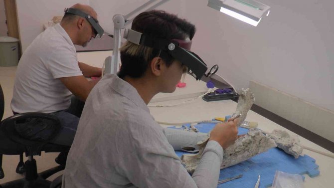 Yol Yapımı Sırasında Tesadüfen Ortaya Çıktı, 7 Buçuk Milyon Yıllık Fosiller Bulundu