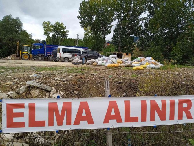 Ordu’da Toptan Elma Alımları Sürüyor