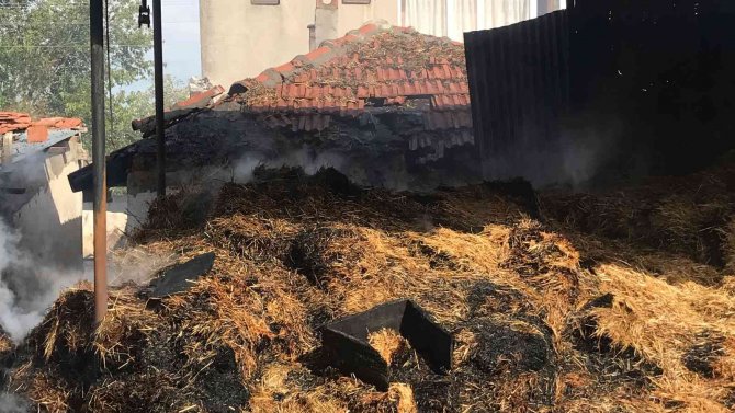 Edirne’de Bin 500 Saman Balyası Kül Oldu