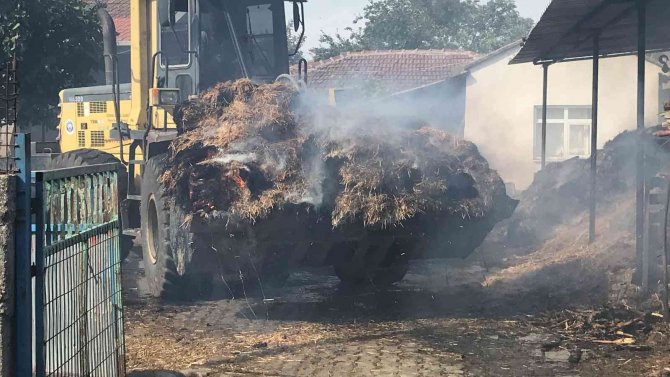Edirne’de Bin 500 Saman Balyası Kül Oldu