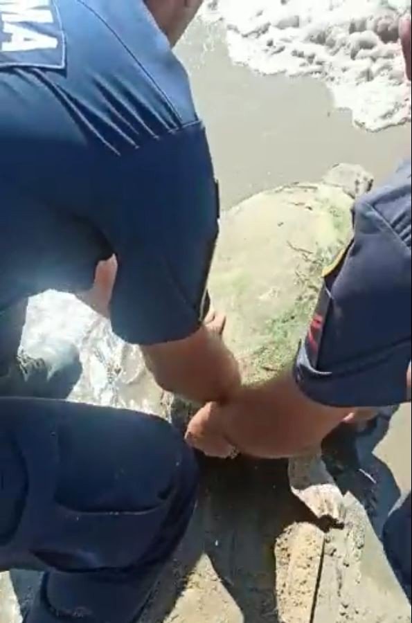 Jandarmanın Dikkati Deniz Kaplumbağasını Kurtardı