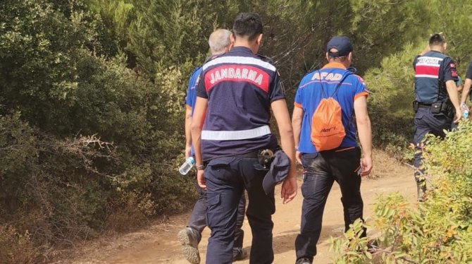 Ava Gidiyorum Dedi, Bir Daha Geri Dönmedi