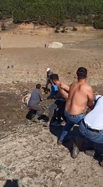 Bursa’da Bataklığa Saplanan İnek Kurtarıldı