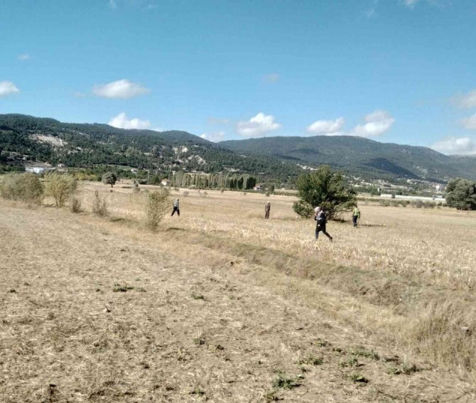 Tarlasını Satılığa Çıkaran Yaşlı Çiftçi Ortadan Kayboldu