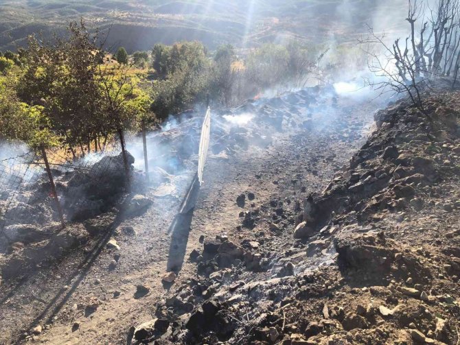 Elazığ’da Ağaçlık Alanda Yangın: Vatandaşlar Seferber Oldu