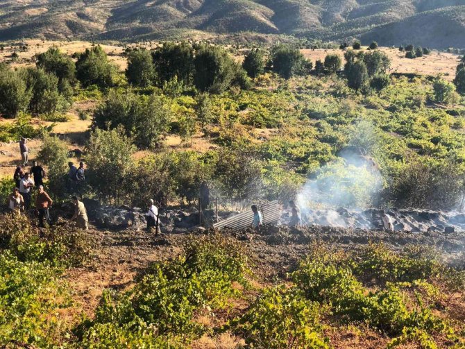 Elazığ’da Ağaçlık Alanda Yangın: Vatandaşlar Seferber Oldu