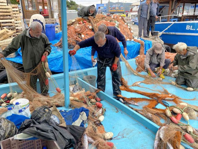 Amasralı Balıkçıların Ağları Palamutla Doldu