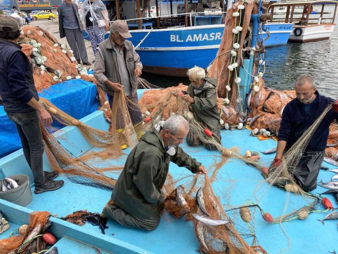 Amasralı Balıkçıların Ağları Palamutla Doldu