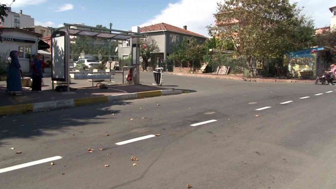 İ̇ett Otobüsü Sokak Köpeğine Çarptı