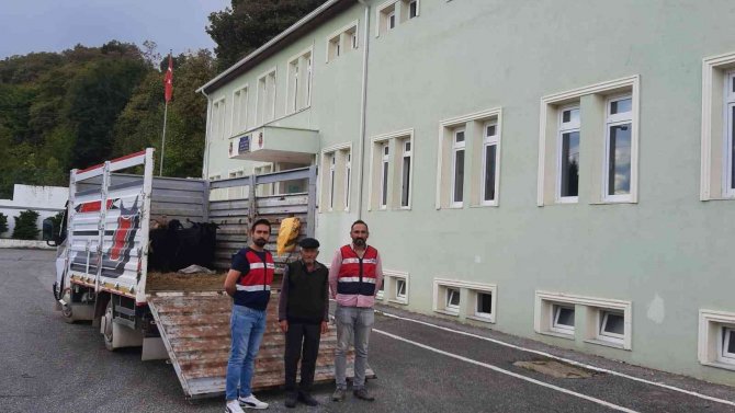 Sahte Paralarla 7 Keçi Satın Almışlar