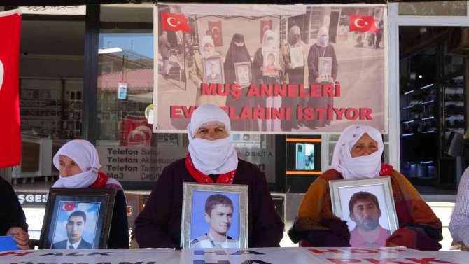 Muş’ta Evlat Nöbeti Tutan Ailelerin Sayısı 41’e Yükseldi