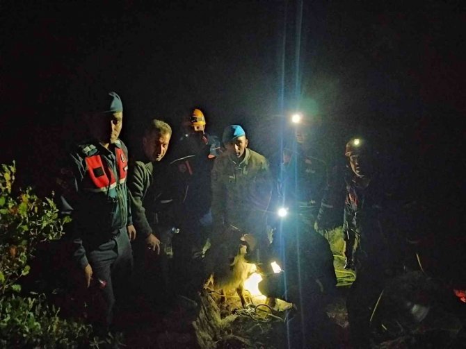 Yaramaz Keçi Öyle Bir Yere Çıktı Ki İnemeyince Ekipler Alarma Geçti