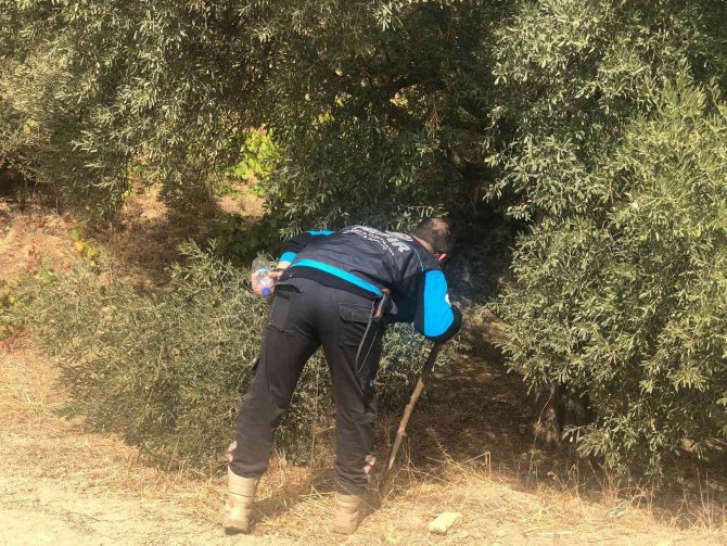 Aydınlı Avcı Köşe Bucak Aranıyor