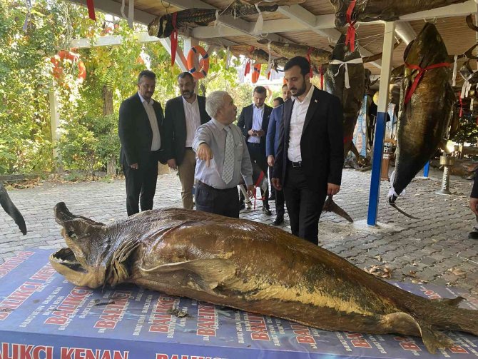 Türkiye Deniz Canlıları Müzesi’ne Anlamlı Ziyaret