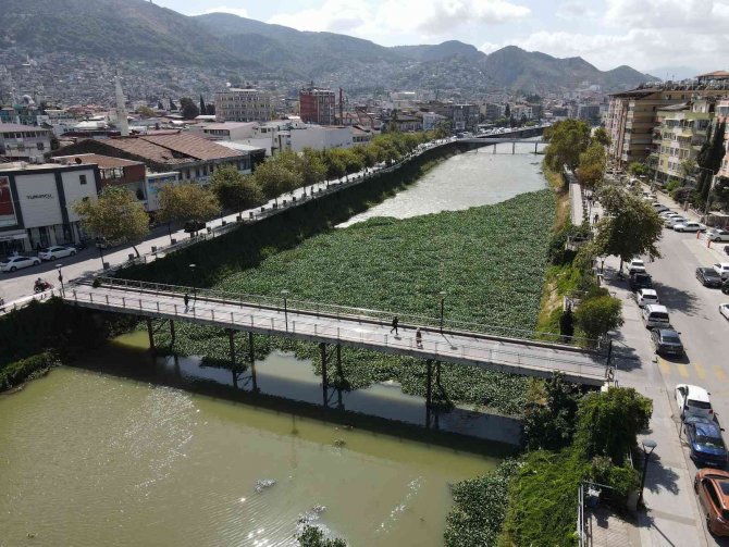 Asi Nehri’nde Su Canavarlarıyla Mücadele