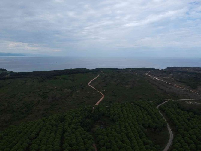 Cumhurbaşkanı’nın İşaret Ettiği Sinop Ngs Bölgesi Havadan Görüntülendi
