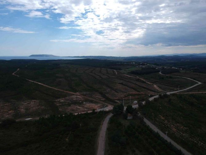 Cumhurbaşkanı’nın İşaret Ettiği Sinop Ngs Bölgesi Havadan Görüntülendi