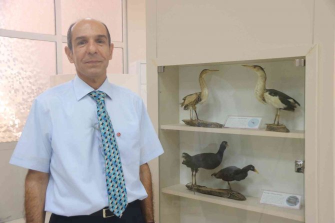 Ölü Taklidi Yapan Yaralı ‘Balaban’ Köylüler Tarafından Fark Edildi, Yetkiler Tedavi Altına Aldı