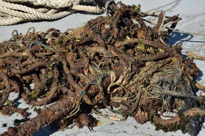 Urla’da Denizin Dibindeki Hayalet Ağlar Ve Atıklar Temizlendi