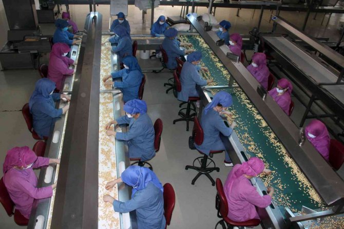 Fi̇skobi̇rli̇k Hem Üretime Hem De İstihdama Katkı Sağlıyor