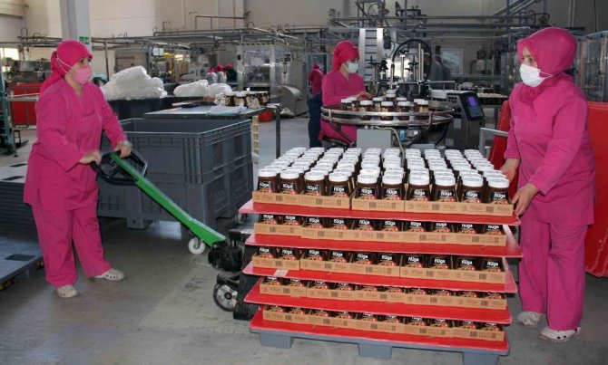 Fi̇skobi̇rli̇k Hem Üretime Hem De İstihdama Katkı Sağlıyor