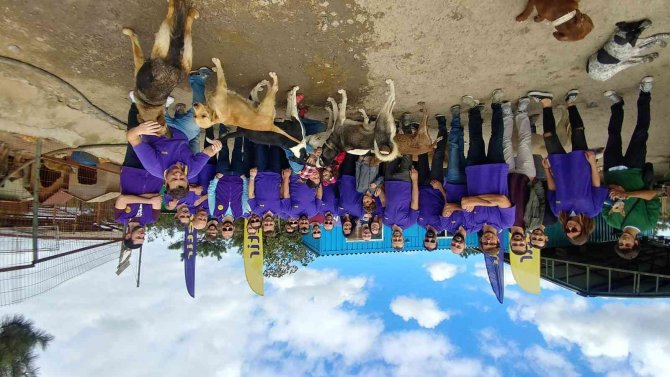 Getir’den Sokak Hayvanlarına 1 Milyon Kap Mama