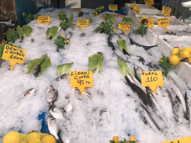 Iğdır’da Balıklar Tezgahtaki Yerini Aldı