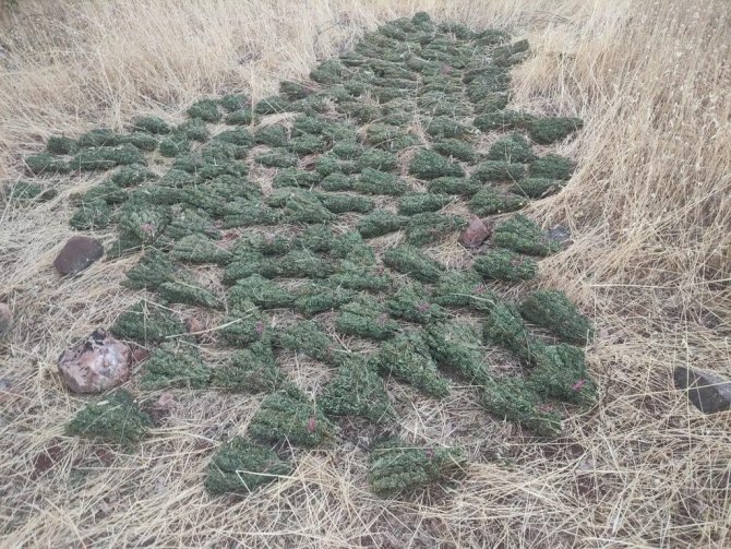 Pkk Terör Örgütünün Finans Kaynağına Bir Darbe Daha