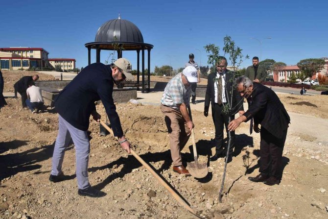 Kmü’de Bin 500 Fidan Toprakla Buluştu