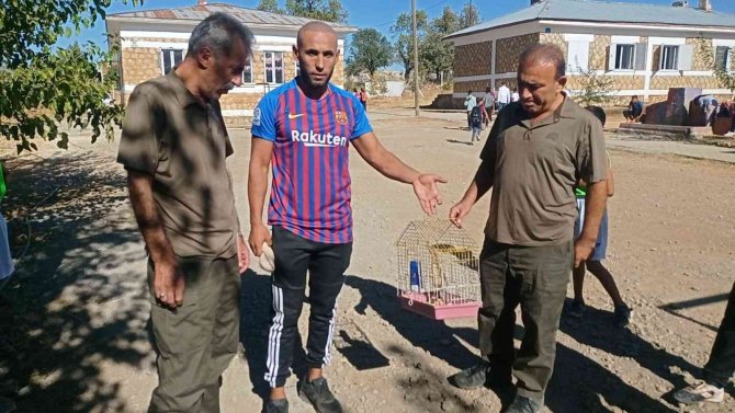 Ölü Taklidi Yapan Yaralı ‘Balaban’ Köylüler Tarafından Fark Edildi, Yetkiler Tedavi Altına Aldı