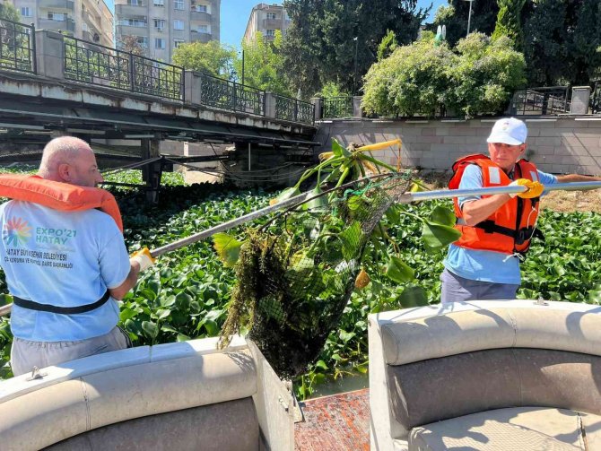 Asi Nehri’nde Su Canavarlarıyla Mücadele
