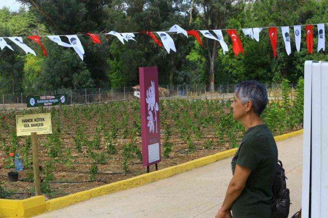 Tıbbi Bitkiler Koleksiyon Bahçesi Açıldı