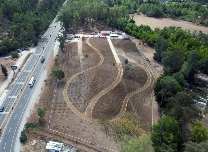 Tıbbi Bitkiler Koleksiyon Bahçesi Açıldı