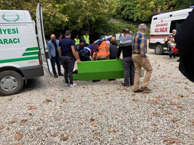Sinop Erfelek Şelaleleri’nde Ağaç Devrildi: 2 Ölü, 1 Yaralı