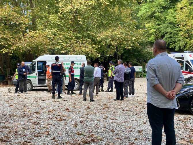 Sinop Erfelek Şelaleleri’nde Ağaç Devrildi: 2 Ölü, 1 Yaralı