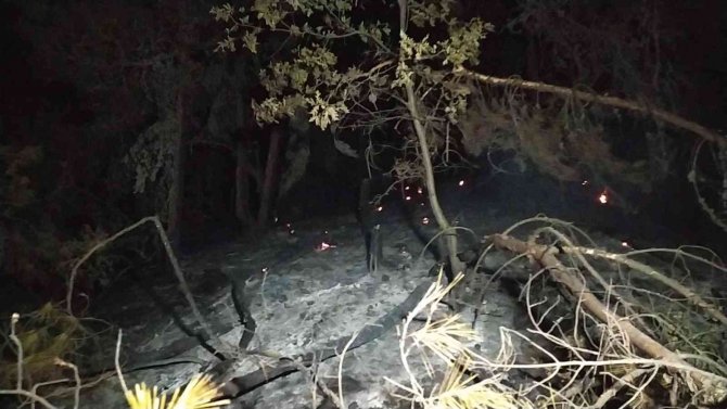Uşak’ta Çıkan Orman Yangını Kontrol Altına Alındı