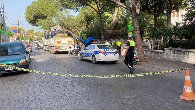 İ̇nşaat Malzemesi Yüklü Tır, Ağacı Devirdi